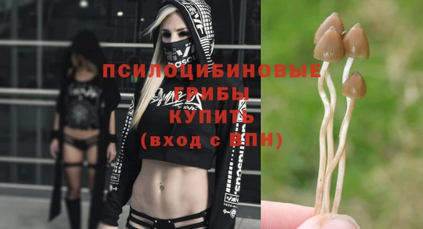 экстази Алзамай
