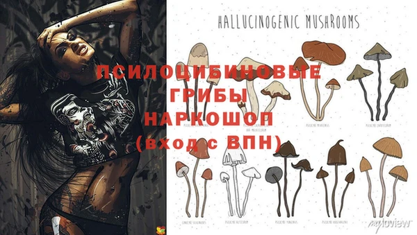 гидра Абдулино