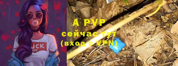 ешки Абаза