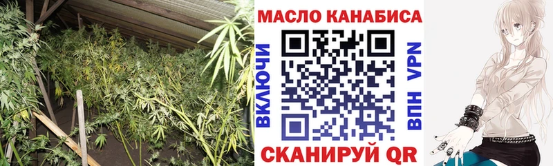 mega зеркало  Сясьстрой  ТГК THC oil 